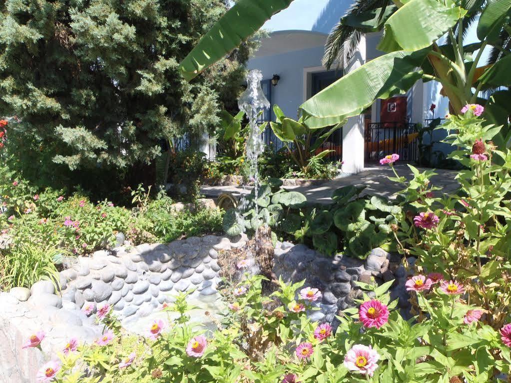 Blue Sky Hotel - Petra - Lesvos - Greece Exterior photo